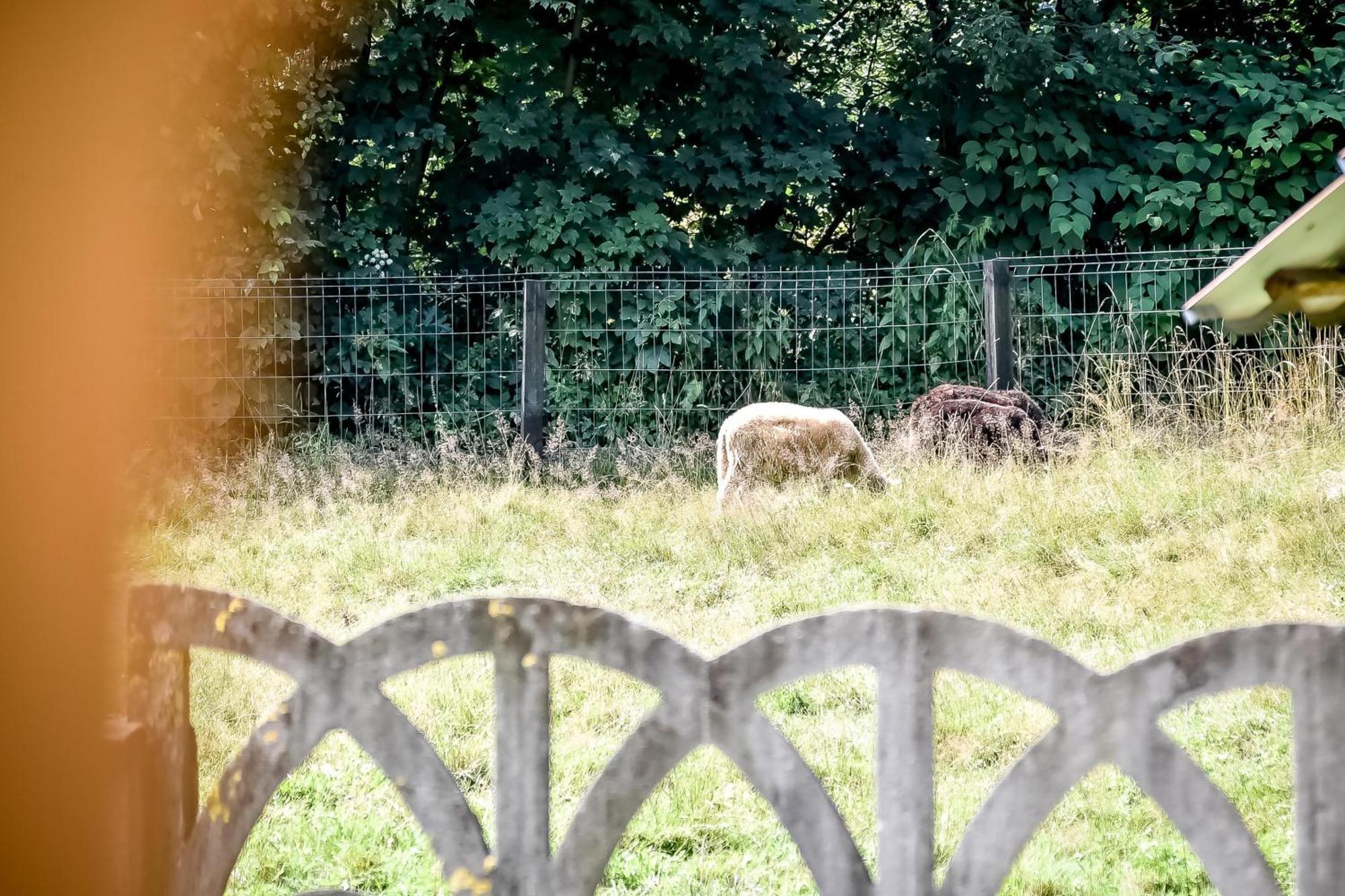 Domek Pod Brzyzkiem Białka Tatrzańska Extérieur photo